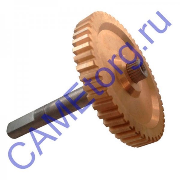 Шестерня came gard 119g755a